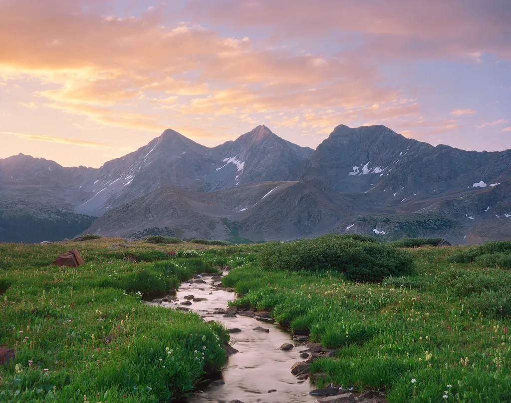 蘑菇视频 - 自然科学纪录片影像