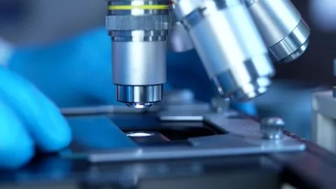 蘑菇视频 - 气候科学家专访